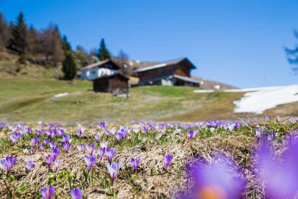 Ferienhaus/Chalet In Der Blaiche Сан-Леонардо-ин-Пассирия Экстерьер фото